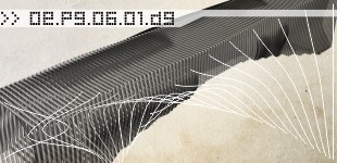 Venice Academia Bridge Competition