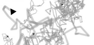 Brownian Motion.ms