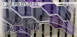 Para*site. St Louis Follies Competition (Second Prize)