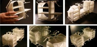 Algorithmic Body