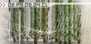 Eco-Forest. D.Areopagiti Competition (Second Prize)