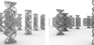 Spiral Study